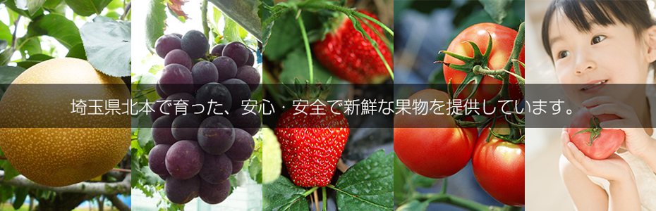埼玉県北本で育った、安心・安全で新鮮な果物を提供しています。